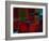 Riverside Reflections-Doug Chinnery-Framed Photographic Print