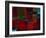 Riverside Reflections-Doug Chinnery-Framed Photographic Print