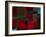 Riverside Reflections-Doug Chinnery-Framed Photographic Print