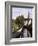 Riverside Walk, Bayeux, Basse Normandie (Normandy), France-Sheila Terry-Framed Photographic Print