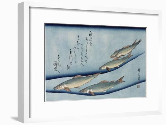 Rivertrout', from the Series 'Collection of Fish'-Utagawa Hiroshige-Framed Giclee Print