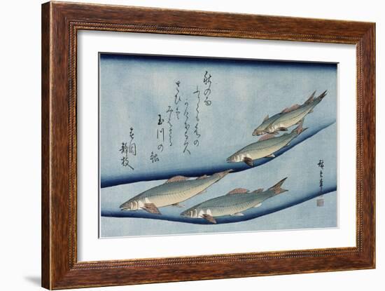 Rivertrout', from the Series 'Collection of Fish'-Utagawa Hiroshige-Framed Giclee Print