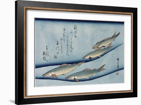 Rivertrout', from the Series 'Collection of Fish'-Utagawa Hiroshige-Framed Giclee Print