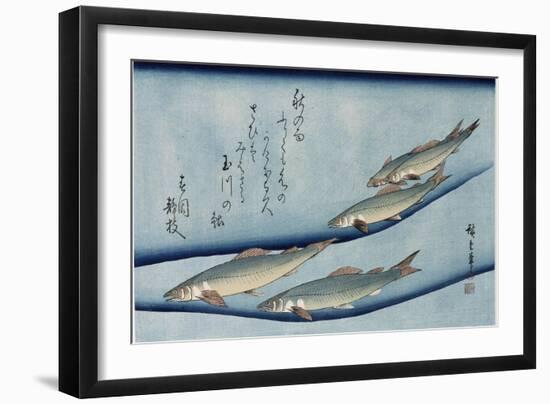 Rivertrout', from the Series 'Collection of Fish'-Utagawa Hiroshige-Framed Giclee Print