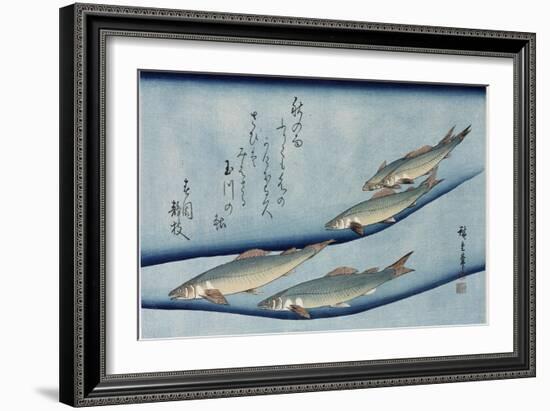 Rivertrout', from the Series 'Collection of Fish'-Utagawa Hiroshige-Framed Giclee Print