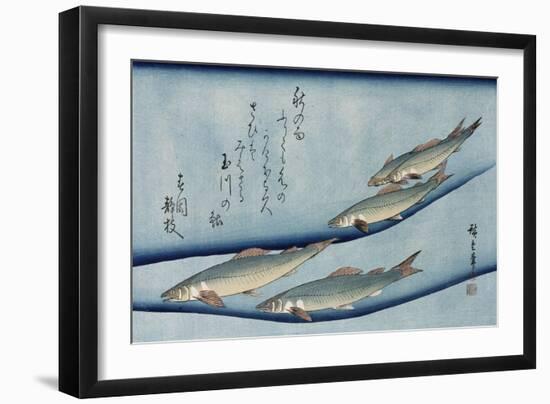 Rivertrout', from the Series 'Collection of Fish'-Ando Hiroshige-Framed Giclee Print