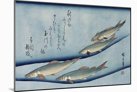 Rivertrout', from the Series 'Collection of Fish'-Ando Hiroshige-Mounted Giclee Print