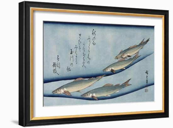Rivertrout', from the Series 'Collection of Fish'-Ando Hiroshige-Framed Giclee Print