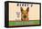 Rivet's Dog Food-null-Framed Stretched Canvas