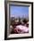 Riviera Cafe, Cannes, France-Bill Bachmann-Framed Photographic Print