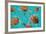 Riviera Maya Turtles Photomount on Caribbean Turquoise Waters of Mayan Mexico-holbox-Framed Photographic Print