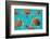 Riviera Maya Turtles Photomount on Caribbean Turquoise Waters of Mayan Mexico-holbox-Framed Photographic Print
