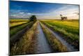 Photographic Print