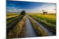 Photographic Print