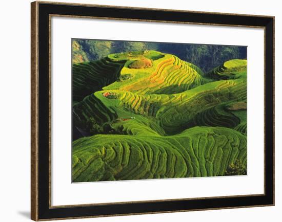 Rizieres en Terrasse, Chine-Keren Su-Framed Art Print