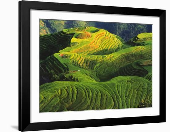 Rizieres en Terrasse, Chine-Keren Su-Framed Art Print