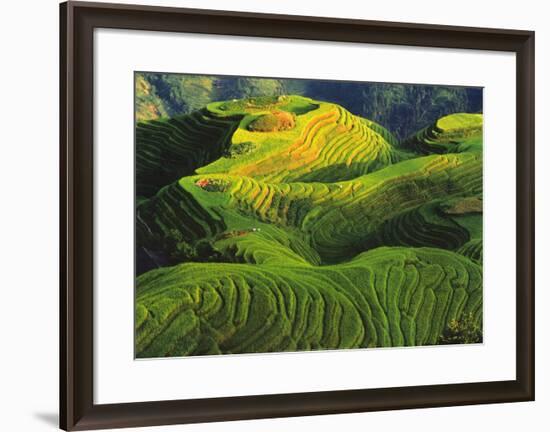 Rizieres en Terrasse, Chine-Keren Su-Framed Art Print