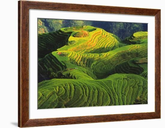 Rizieres en Terrasse, Chine-Keren Su-Framed Art Print