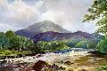Giclee Print