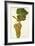 Rka-Tziteli Grape-J. Troncy-Framed Giclee Print