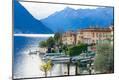 Premium Photographic Print