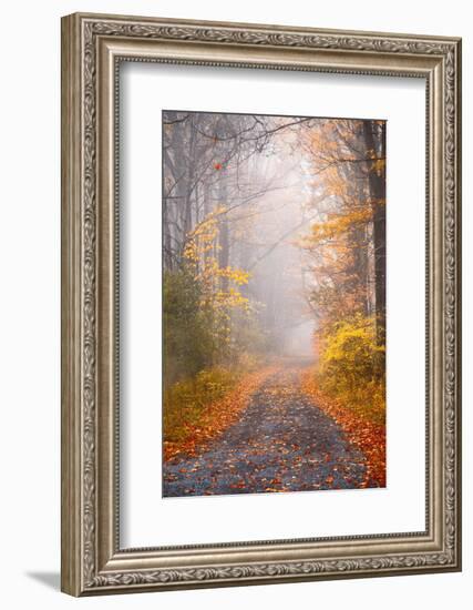 Road and Autumn Mist-Brooke T. Ryan-Framed Photographic Print