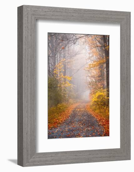 Road and Autumn Mist-Brooke T. Ryan-Framed Photographic Print