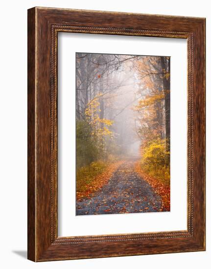 Road and Autumn Mist-Brooke T. Ryan-Framed Photographic Print