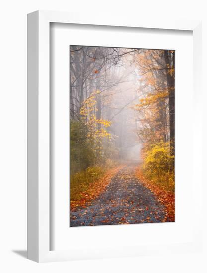 Road and Autumn Mist-Brooke T. Ryan-Framed Photographic Print