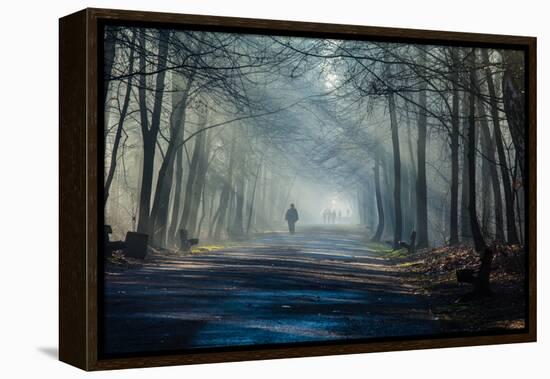 Road and Sunbeams in Strong Fog in the Forest, Poland.-Curioso Travel Photography-Framed Premier Image Canvas