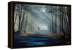 Road and Sunbeams in Strong Fog in the Forest, Poland.-Curioso Travel Photography-Framed Premier Image Canvas