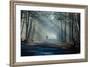 Road and Sunbeams in Strong Fog in the Forest, Poland.-Curioso Travel Photography-Framed Photographic Print
