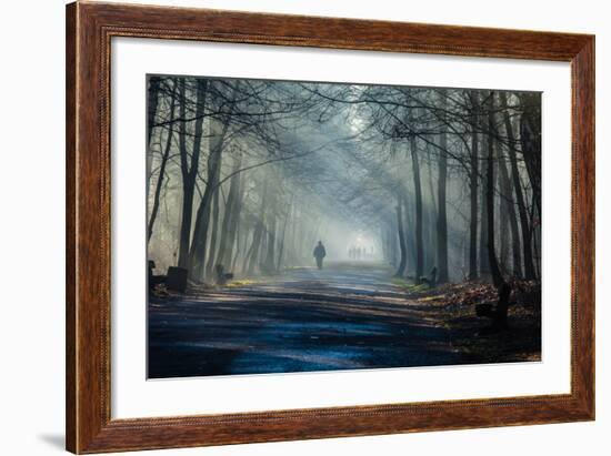 Road and Sunbeams in Strong Fog in the Forest, Poland.-Curioso Travel Photography-Framed Photographic Print