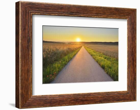 Road at sunrise, Gottersdorf, Odenwald, Baden Wurttemberg, Germany-Raimund Linke-Framed Photographic Print