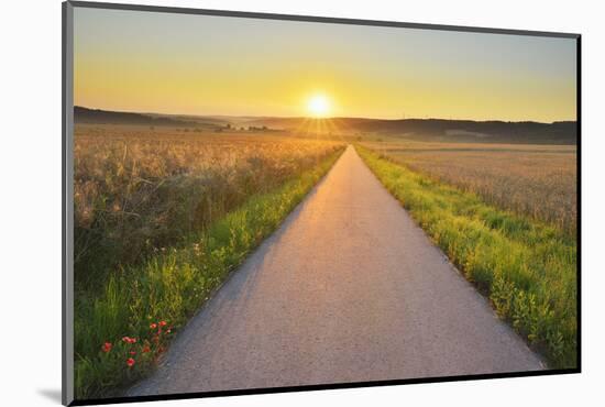 Road at sunrise, Gottersdorf, Odenwald, Baden Wurttemberg, Germany-Raimund Linke-Mounted Photographic Print