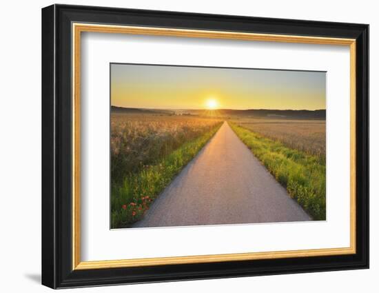 Road at sunrise, Gottersdorf, Odenwald, Baden Wurttemberg, Germany-Raimund Linke-Framed Photographic Print