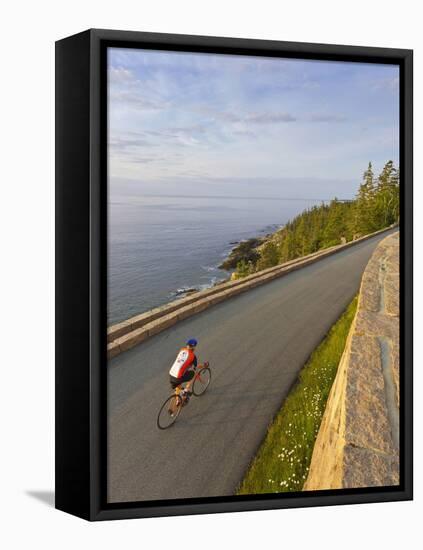 Road Bicycling in Acadia National Park, Maine, Usa-Chuck Haney-Framed Premier Image Canvas