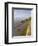 Road Bicycling in Acadia National Park, Maine, Usa-Chuck Haney-Framed Photographic Print