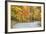 Road Bicycling in Autumn at Brown County State Park, Indiana, USA-Chuck Haney-Framed Photographic Print