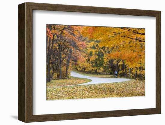 Road Bicycling in Autumn at Brown County State Park, Indiana, USA-Chuck Haney-Framed Photographic Print