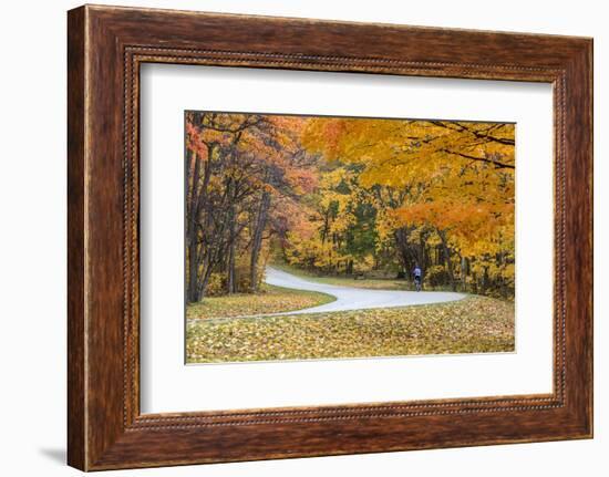 Road Bicycling in Autumn at Brown County State Park, Indiana, USA-Chuck Haney-Framed Photographic Print