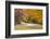 Road Bicycling in Autumn at Brown County State Park, Indiana, USA-Chuck Haney-Framed Photographic Print