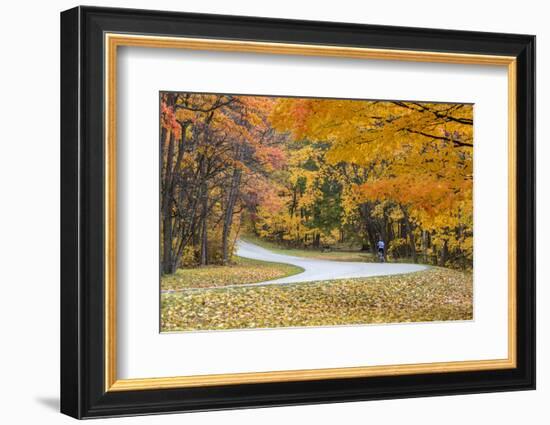 Road Bicycling in Autumn at Brown County State Park, Indiana, USA-Chuck Haney-Framed Photographic Print