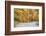 Road Bicycling in Autumn at Brown County State Park, Indiana, USA-Chuck Haney-Framed Photographic Print