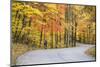 Road Bicycling in Autumn at Brown County State Park, Indiana, USA-Chuck Haney-Mounted Photographic Print