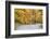 Road Bicycling in Autumn at Brown County State Park, Indiana, USA-Chuck Haney-Framed Photographic Print