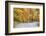 Road Bicycling in Autumn at Brown County State Park, Indiana, USA-Chuck Haney-Framed Photographic Print