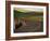 Road Bicycling in the Palouse Country Near Pullman, Washington, USA-Chuck Haney-Framed Photographic Print