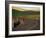 Road Bicycling in the Palouse Country Near Pullman, Washington, USA-Chuck Haney-Framed Photographic Print