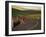 Road Bicycling in the Palouse Country Near Pullman, Washington, USA-Chuck Haney-Framed Photographic Print